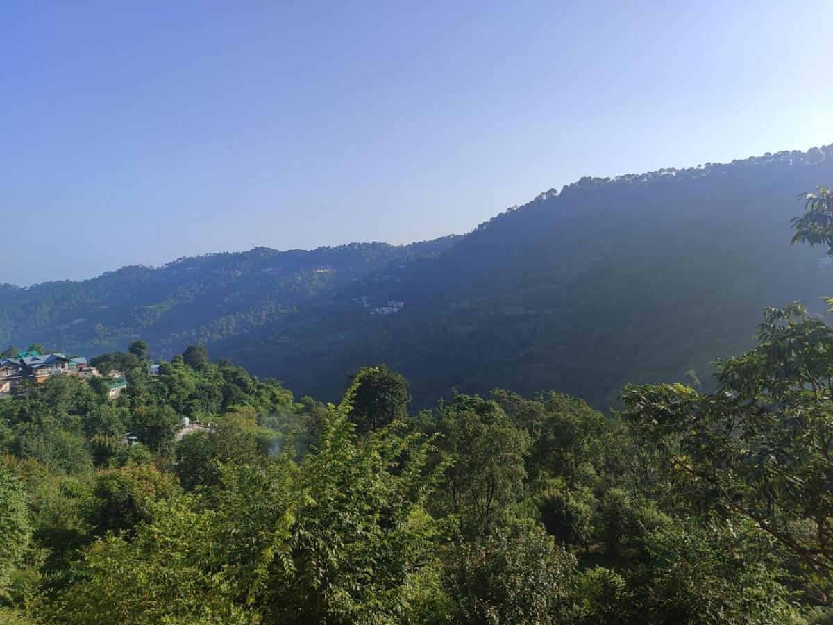 Idyllic Private Cottage W/King Bed + Mountain View Kasauli Bagian luar foto