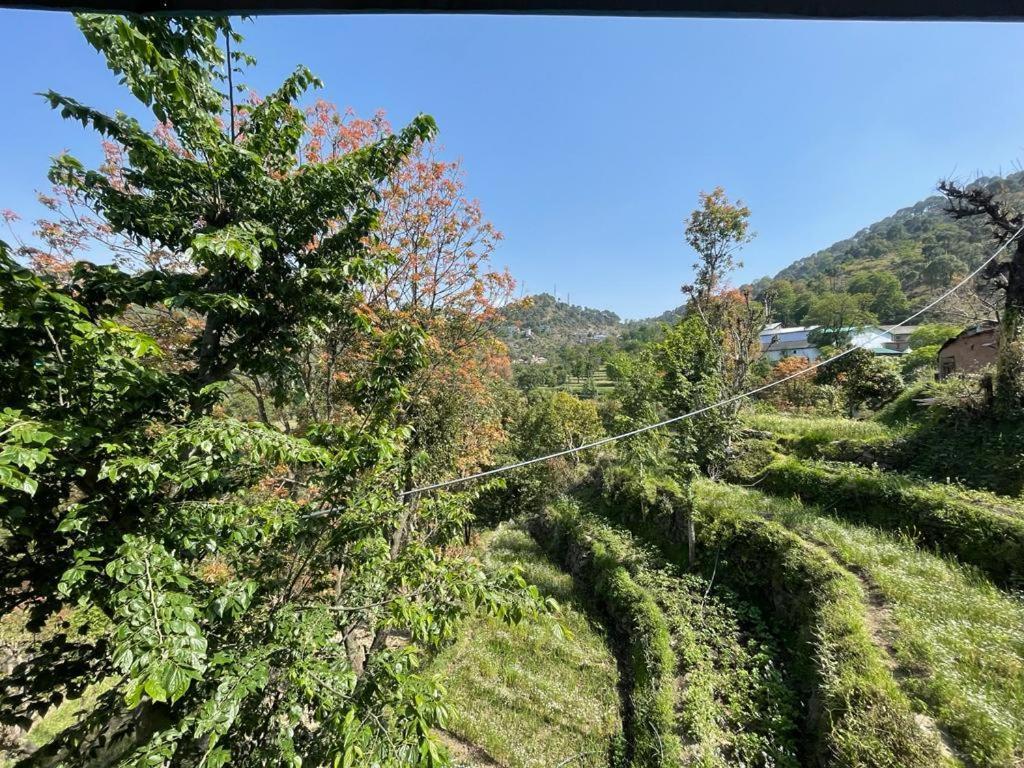 Idyllic Private Cottage W/King Bed + Mountain View Kasauli Bagian luar foto